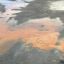 Клязьминское водохранилище под угрозой: результаты анализа воды пугают экологов и жителей района