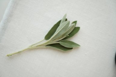 Скандинавская стилистика и изысканная кухня в ресторане Sage Москвы